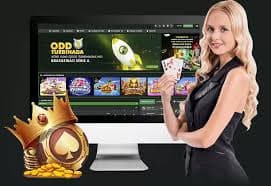 20bet app